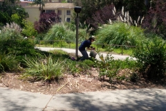 2014 Annual Fox Hills Park Cleanup Day