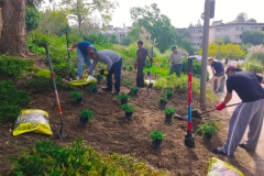 2016 FHNA Park Cleanup