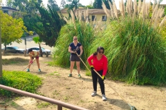 2016 FHNA Park Cleanup