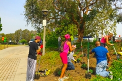 2016 FHNA Park Cleanup