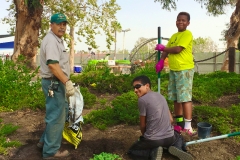 2016 FHNA Park Cleanup