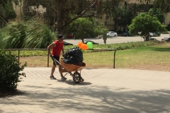 2016 FHNA Park Cleanup