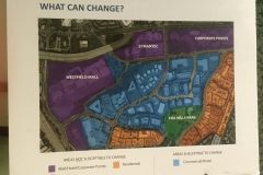 Reimagine Fox Hills - First meeting